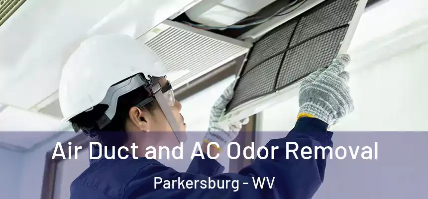  Air Duct and AC Odor Removal Parkersburg - WV