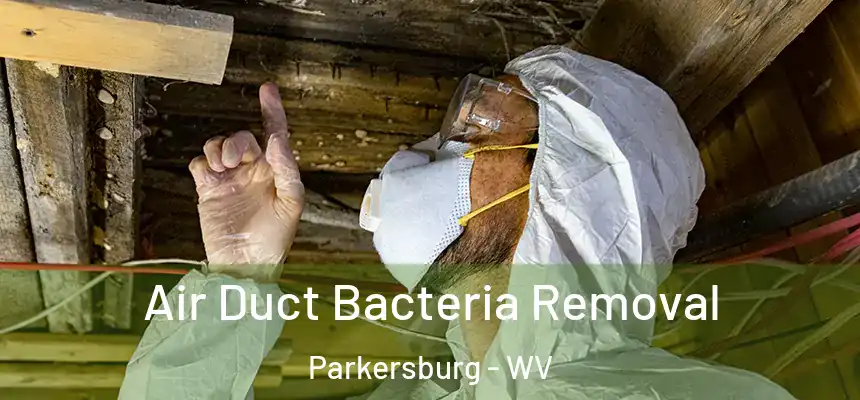 Air Duct Bacteria Removal Parkersburg - WV