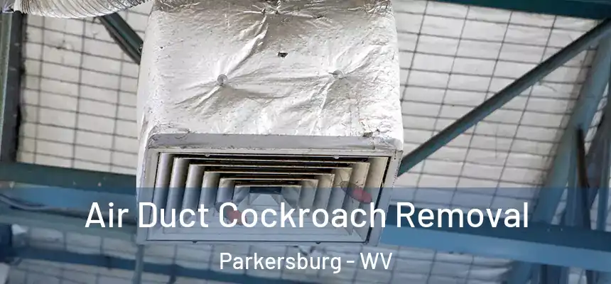 Air Duct Cockroach Removal Parkersburg - WV