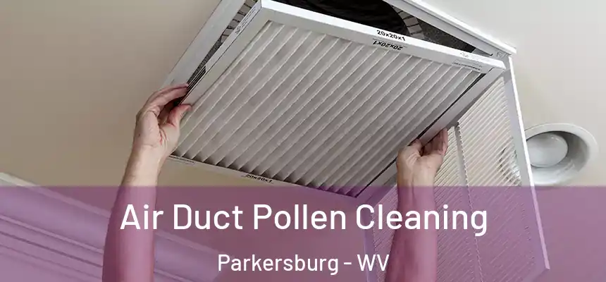 Air Duct Pollen Cleaning Parkersburg - WV