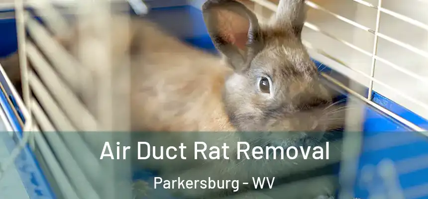  Air Duct Rat Removal Parkersburg - WV