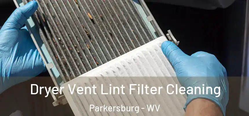  Dryer Vent Lint Filter Cleaning Parkersburg - WV