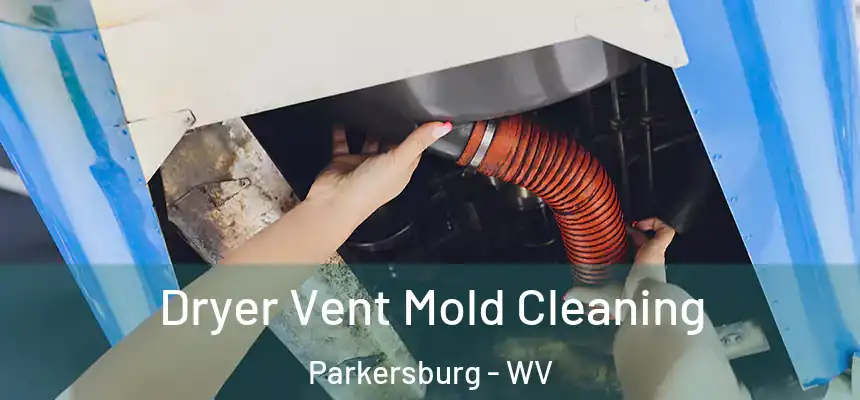  Dryer Vent Mold Cleaning Parkersburg - WV