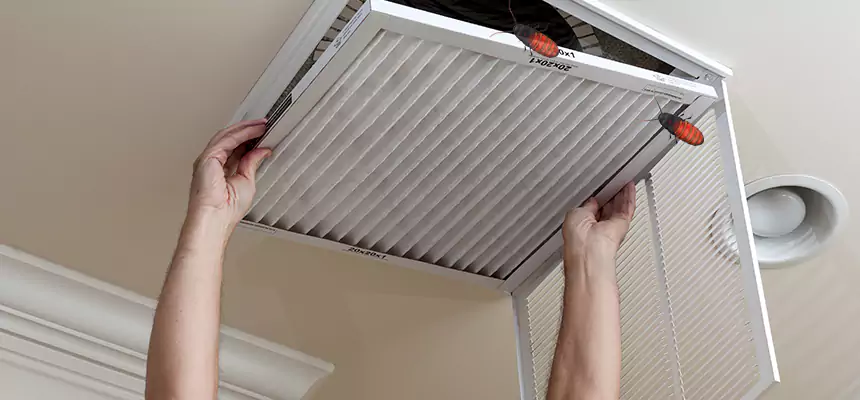 Preventive Cockroach-Proofing for Ducts in Parkersburg
