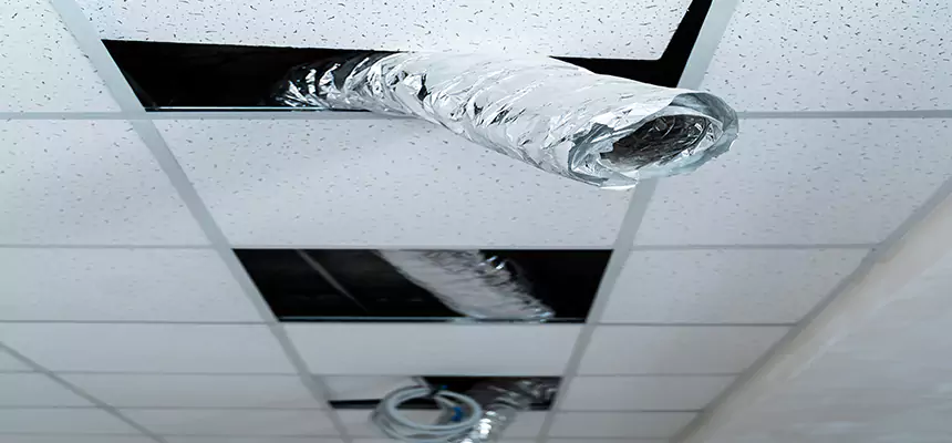 Our Air Duct Pet Hair Removal Services in Parkersburg, WV