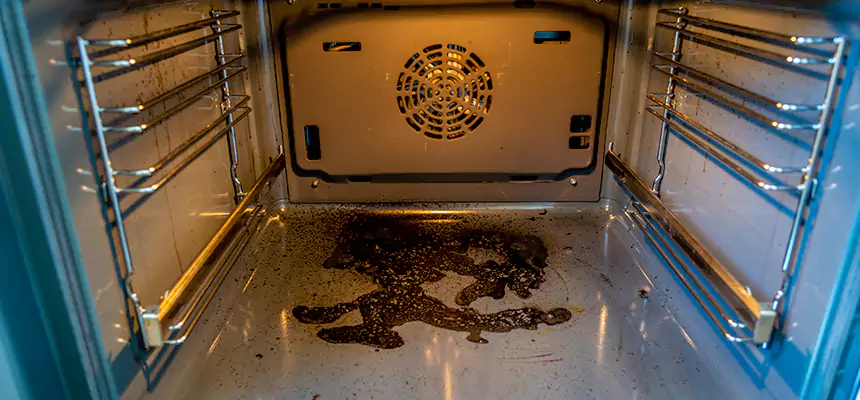 Our Dryer Vent Mold Cleaning Services in Parkersburg, WV