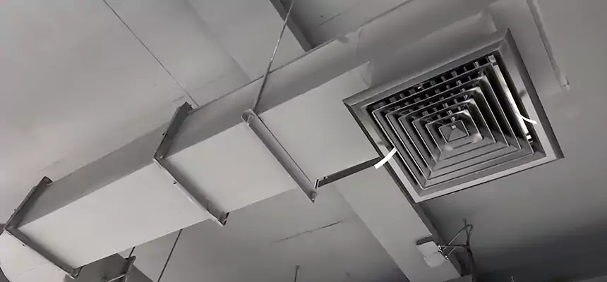 Our Pest Removal From Ducts Services in Parkersburg, WV