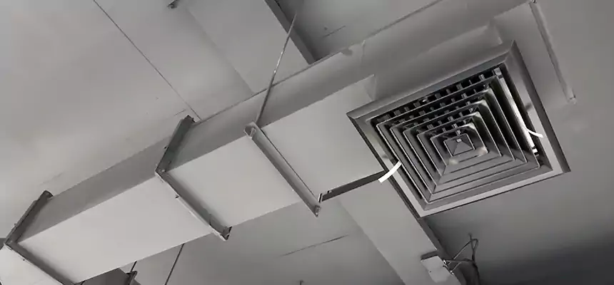 Our Rodent Droppings In Vents Services in Parkersburg, WV