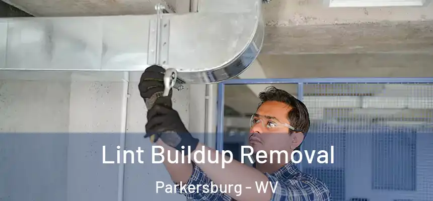  Lint Buildup Removal Parkersburg - WV