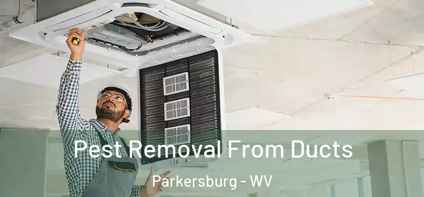  Pest Removal From Ducts Parkersburg - WV