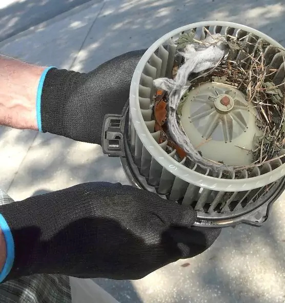 About Air Duct Rat Removal in Parkersburg, WV