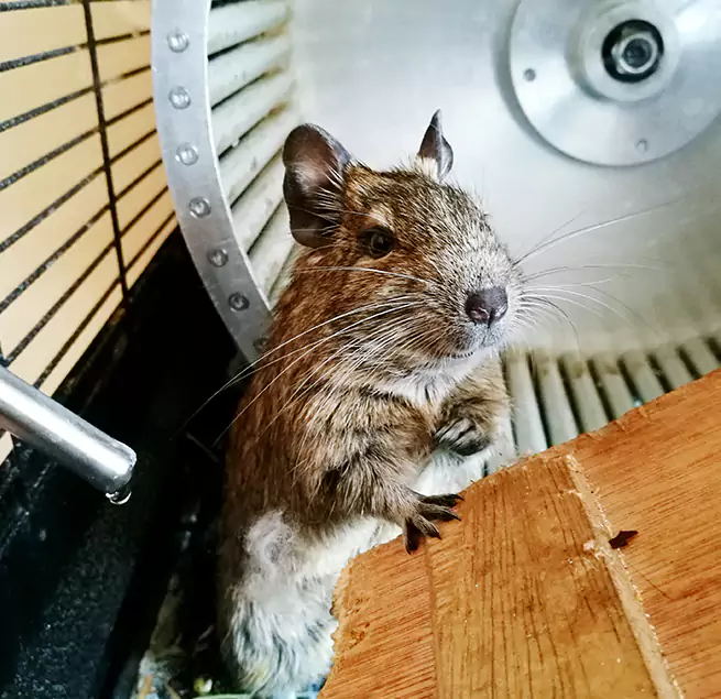 Why Homeowners & Businesses Trust Us Parkersburg, WV