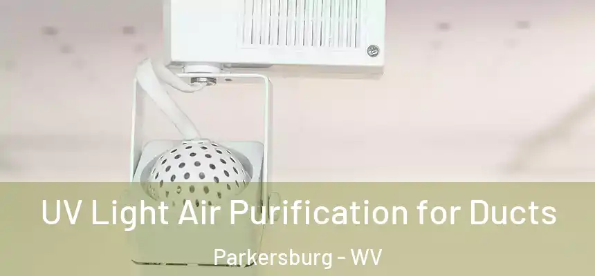  UV Light Air Purification for Ducts Parkersburg - WV